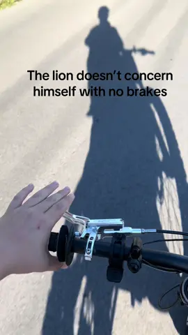 The lion doesn’t concern himself#surron #brake#skate4 #fyp #viral 