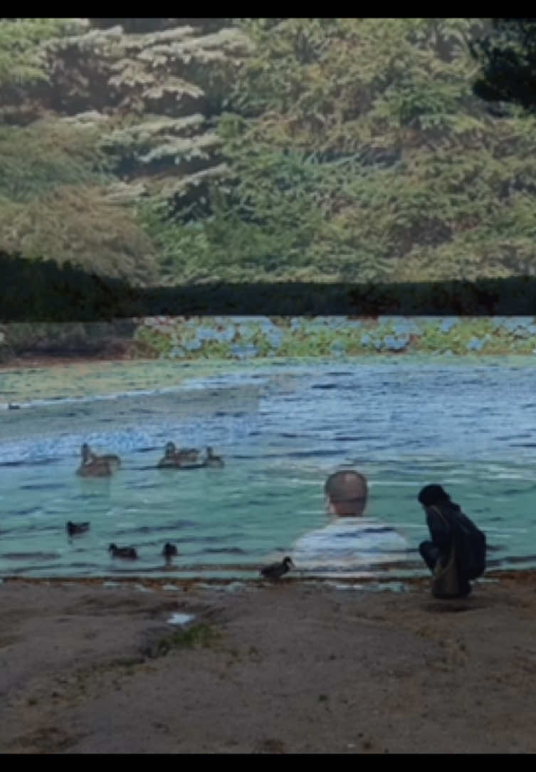 Since the ducks left... I guess. #sopranos #tonysoprano #ducks #real #depressed 