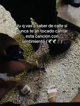 #santa #grifa #amigo 🤍🕊️