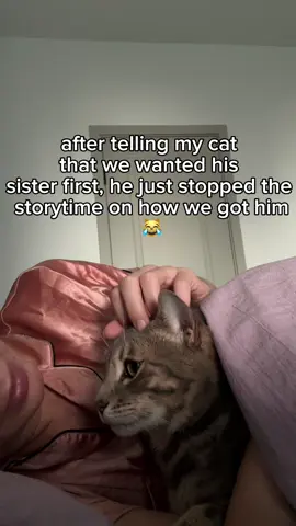 how did your first meetings with your cats go? i wanted to do a whole storytime, maybe a different time when mochi is up to it 🥰 let me know in the comments if you want to hear it! 