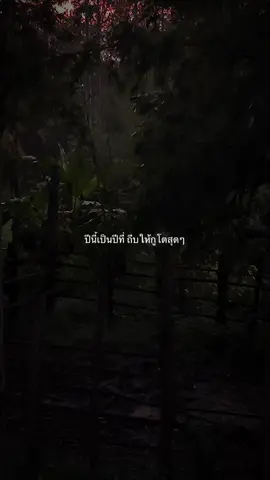 #ฝากไว้ให้คิด #แรงบันดาลใจ #กําลังใจ #คติเตือนใจ 