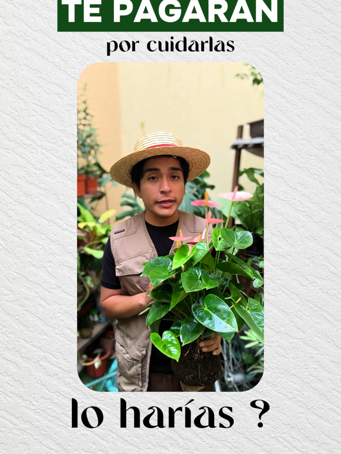 🪴Esta nueva tecnología está haciendo cosas increíbles 🤑💻🌱, si ya estás creando contenido y quieres probar @base app escribeme al DM  #creadordecontenido #plantas #DIY #edicion