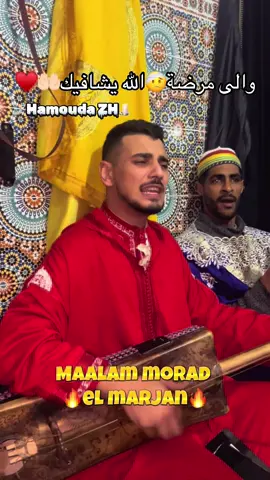 @morad elmarjan officiel #gnawa_morocco🇲🇦🇲🇦🇲🇦 #gnawa #الباشا_حمو♥️🔪 #bacha_hamo🔪⚔️❤️ #كناوة_عشااااق_المقاطع🎶🎵 