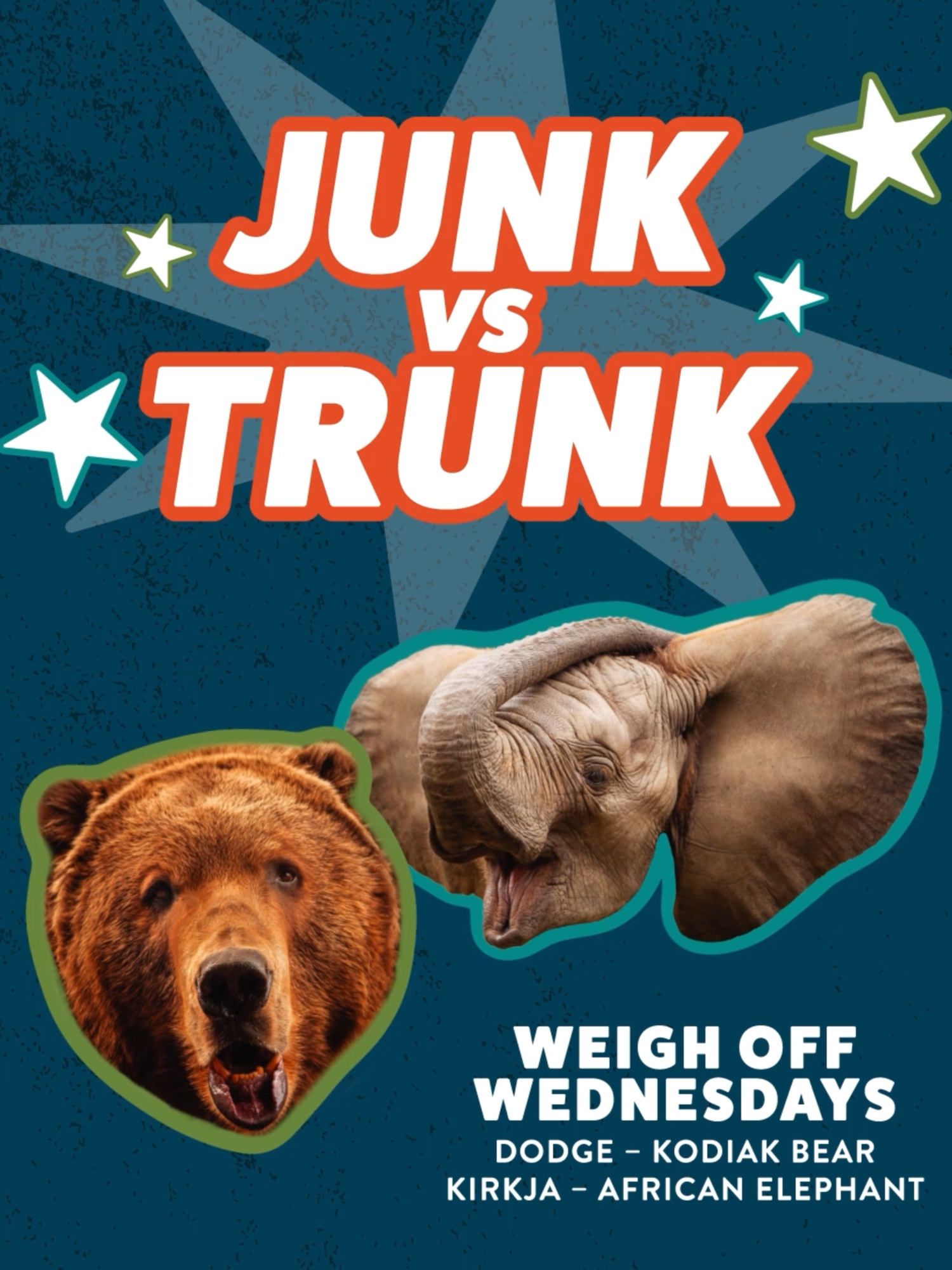 We are having a TON of fun on this week's #weighoffwednesday  🐻⚖️🐘 Tune in Oct. 15 to see who will tip the scales in Junk vs Trunk! #babyelephant #kodiakbear