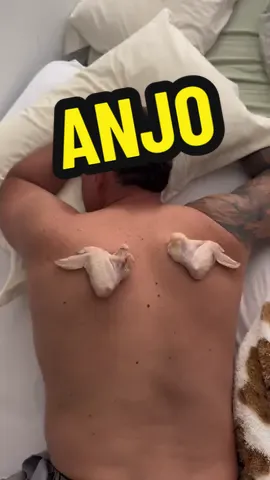 O anjo