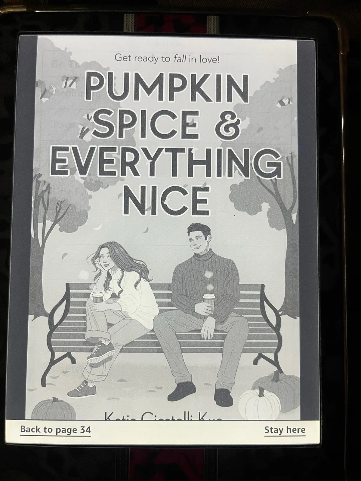 New book #pumpkinspiceandeverythingnice #kindle #BookTok #tiktok #fyp is what I’m reading! 
