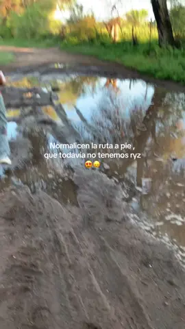 #paratiiiiiiiiiiiiiiiiiiiiiiiiiiiiiii #paratiiiiiiiiiiiiiiiiiiiiiiiiiiiiiii #ryzr ya nos tenemos que comprar uno 💆🏻‍♀️🙂‍↕️🗣️