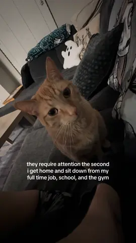 girl can’t catch a break round here😂