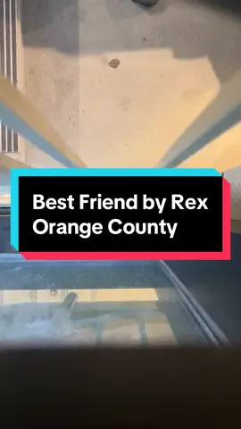 I’m still gonna post a cover later. I was just really feelin the second half of the song #cover #singing #music #bestfrien #rexorangecounty @rex orange county 