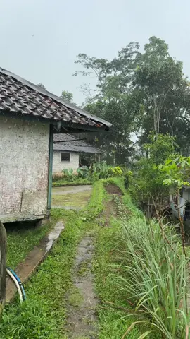 Suasana hujan di pedesaan yang indah 