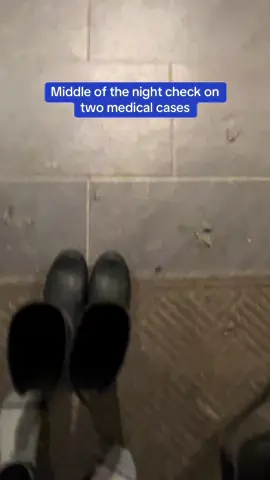 Middle of the night care for Denali and Fanta. We’re exhausted but our goal is to give the best care, no matter the time of day. #fabledfarm #animalrescue #latenight #emergency 