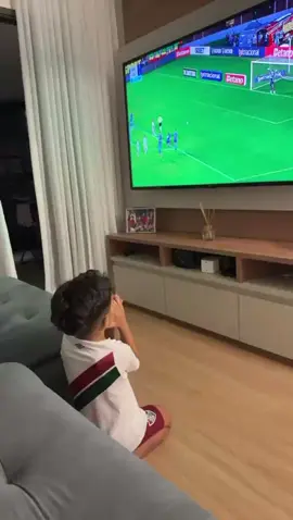 Jogo Sport x Flu. #tricolor  #flu  #fluminense  #flusao  #urso 