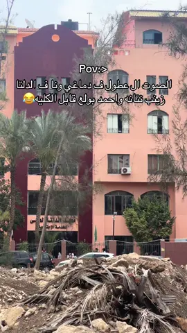 اه ع كيلو الدقيق ال فوشك#معهد_الدلتا_العالى_للحاسبات #حاسبات_ومعلومات #الدلتا #الشعب_الصيني_ماله_حل😂😂 #viral 