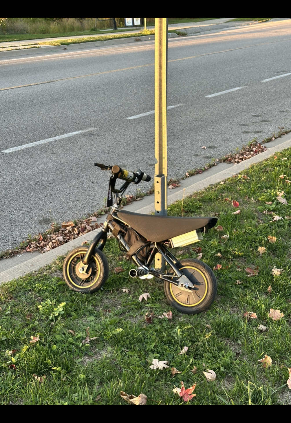 Top 3 mini bikes on tt? #mini #bike #fast #electric #small 