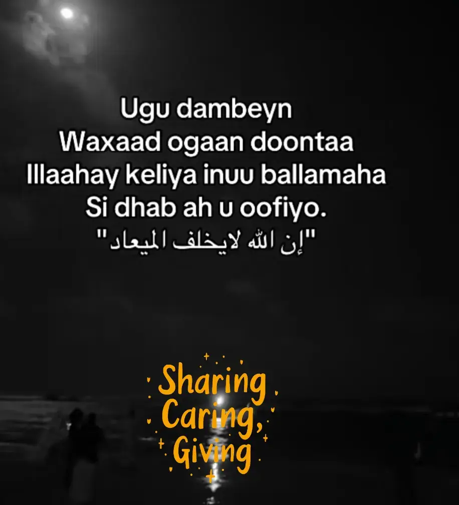 #somalitiktok 