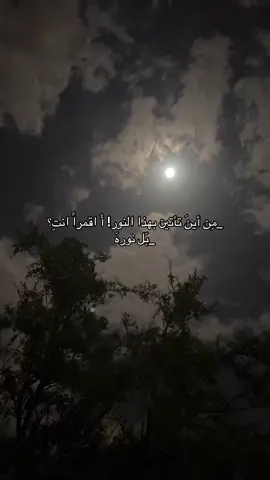 #البصرة #العراق #tiktok #اكسبلور #نور 