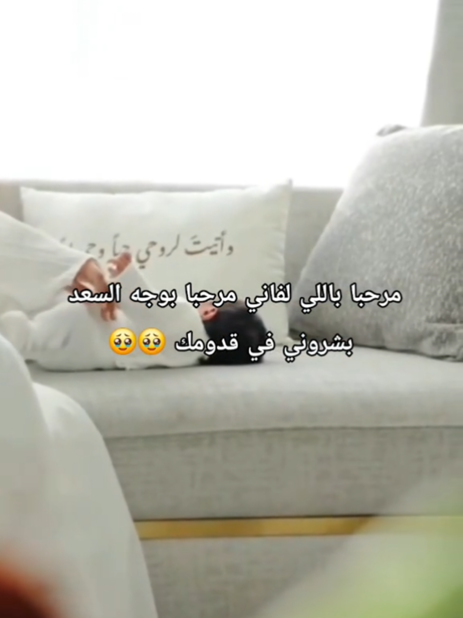 بشارة مولود مرحبا باللي لفاني مرحبا بوجه السعد #زفات #زفات_محمد_عبده #زفات_ماجد_المهندس_بدون_حقوق #زفات_حسين_الجسمي #زفات_بدون_موسيقى 