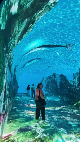 Space and Time Cube Level 1 S Maison at Conrad Pasay  #spaceandtimecube #immersive #fyp #tunnel #fish #underwater #shark 