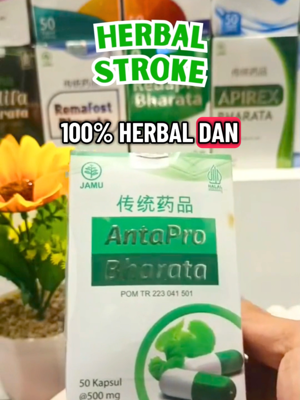 Antapro Bharata #herbal #antaprobharata #antaprobharataoriginal #obatstroke #gajiansale 