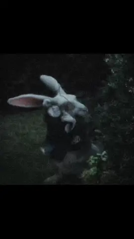 rome #allroadsleadtorome #clockrabbit #aliceinwonderland #fyp #edit 