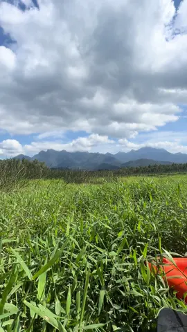 “Faça o que deve ser feito… comemorando as pequenas conquistas”… #joellmaaj 