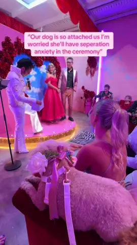 We not only work so hard on building a strong relationship with your dog prior to the ceremony but also take the time to understand them, their triggers, boundaries and threshold. No 2 dogs are the same, some won’t care about treats, others will love being held, in this case this sweet lil girl just needed to be reminded that I was right there beside her whilst being just close enough to mum and dad to be content🩷 You can see in her breathing pattern that it was hard work for her, but gosh was she an absolute star through it all✨ It was also a hot day so that played a part in her panting! #poodlelover #weddingdog #weddingceremony #dogsitter #melbournewedding @The Altar Electric @The Elvis Big Band 