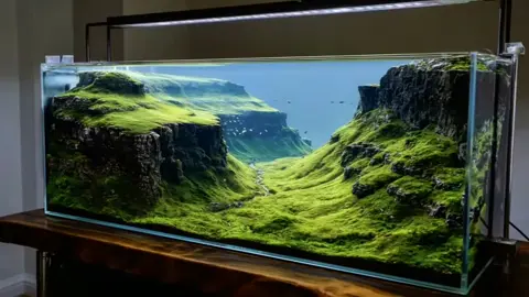 #nature #beca #yeuthuysinh #quanaqua 