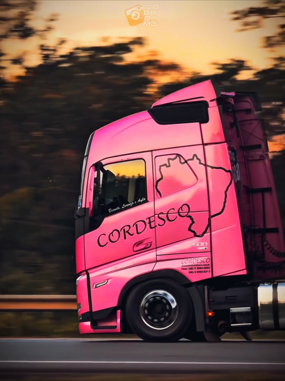 #caminhoes #viral_video #fyyyyyyyyyyyyyyyy #fy #flogao_mg 