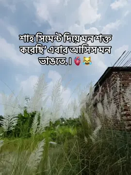 🫀😹🐸#foryou #fpyシシシシシ #viralvideo #foryoupage #viralvideo @TikTok Bangladesh 