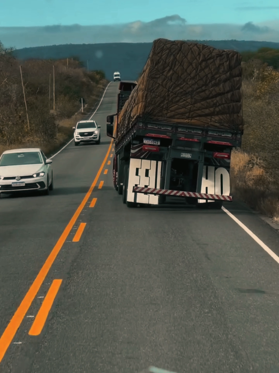 #caminhaoarqueado #caminhao #pivetagem✪✪✪✪✪✪ #videodecaminhao #caminhaoqualificado 