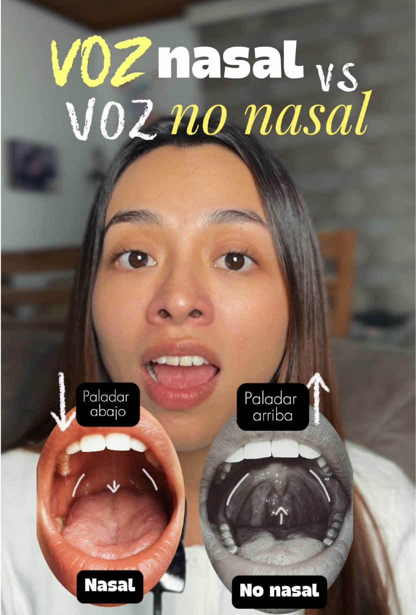 “Voz nasal vs no nasal”“Cuando el paladar baja → voz nasal 👃. Cuando sube → voz no nasal 🎤. ¿Escuchas la diferencia?” “¿Por qué tu voz suena tapada? 👉 Porque el aire se escapa a la nariz. Mira la diferencia 👀” . #vocal #exploracion #entrenamientovocal #canto #voznasal 