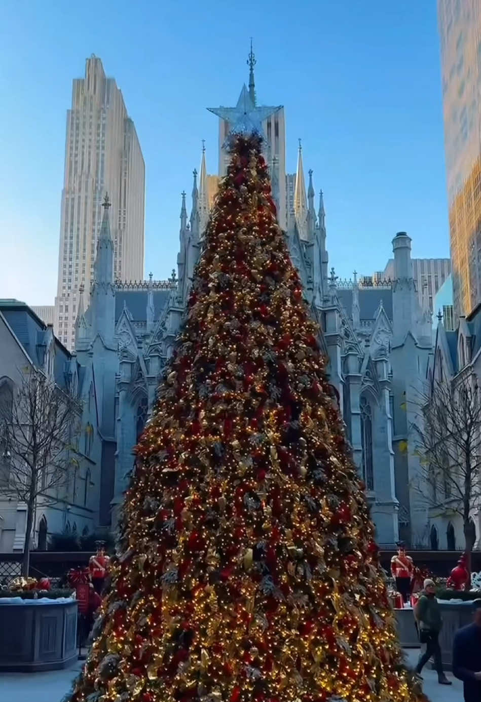 ¿Estás listo? 🎄🥰🤩 #navidad #christmas #christmastiktok #christmasdecor #christmastree 