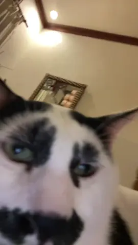 kenalkan, gw MAMAT #9NYAWA#