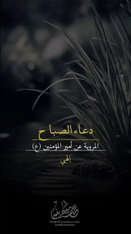 #دعاء_الصباح #حسينية_ميديا #اللهم_عجل_لوليك_الفرج #السلام_على_الحسين #اللهم_صل_على_محمد_وآل_محمد 
