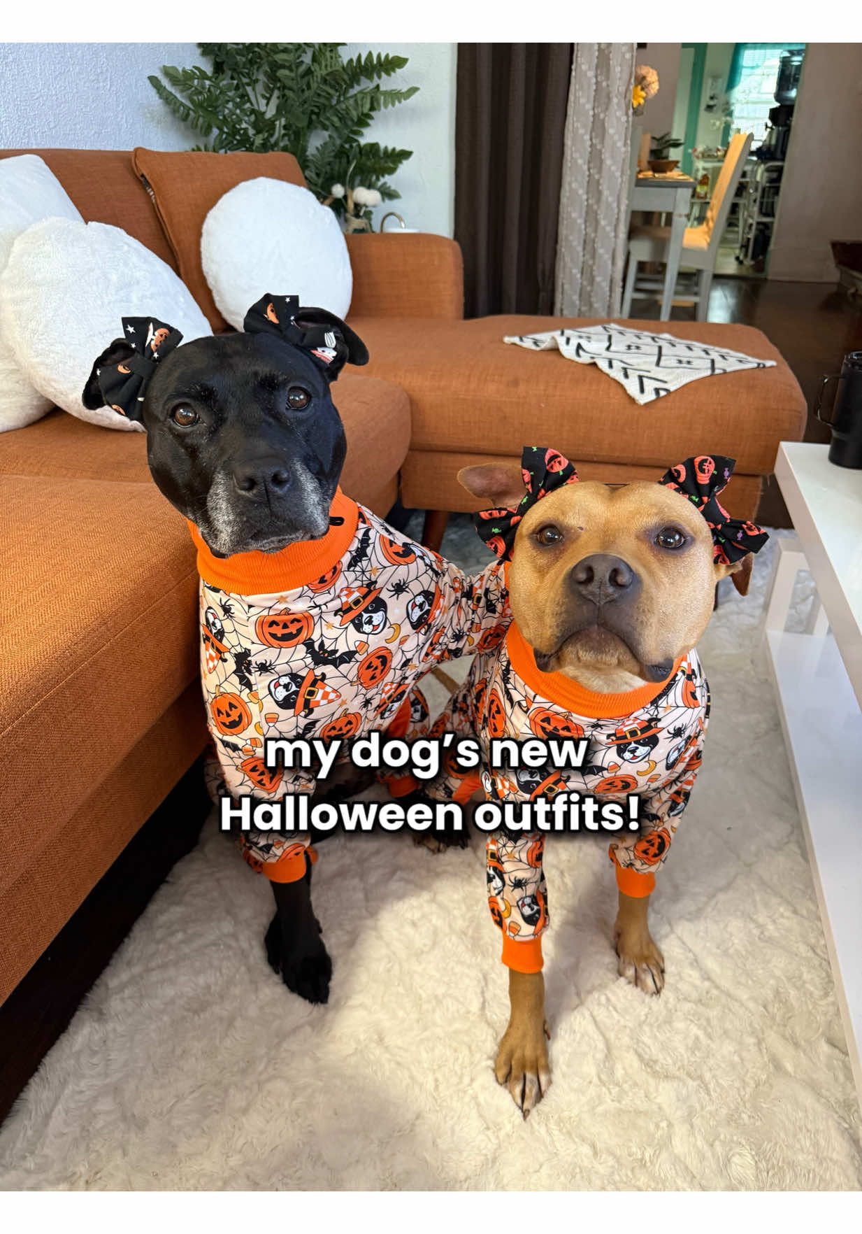 YOU BETTER TELL THEM THEY LOOK GOOD! pajamas and vests are from  @toothandhoney 👻🧡💜