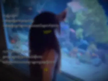 #CapCut 