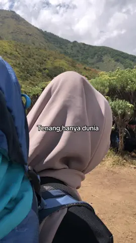 #fouryoupage 🦖#pendakigunung #merbabu 