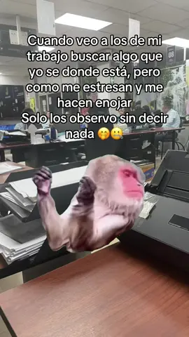 #Meme #MemeCut 