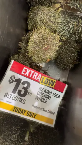NZ Fresh Whole Kina (Sea Urchin) for $13 a kg. TODAY ONLY 2/10/25 🐟🐳🐠🦀🐬 #PAKnSAVE #MillStreet #Fresh #Seafood #Kina