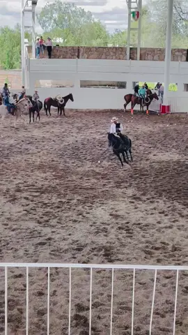 A la chingada si somos los más fieles 😮‍💨#vaquero #ranchero #arrendadoresdecaballos #contenido #cabalgatas 