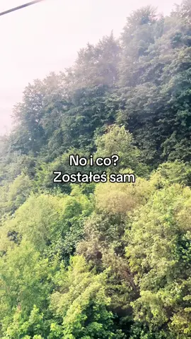 #zostalessam #andrzejgrabowski #dc #fyp #dlaciebie 