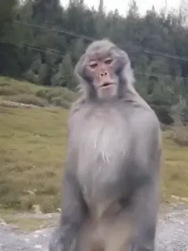 gambaran cewe ketika dikamar sendirian🗿#4u #foryoupage #xybca #fyppppppppppppppppppppppp 