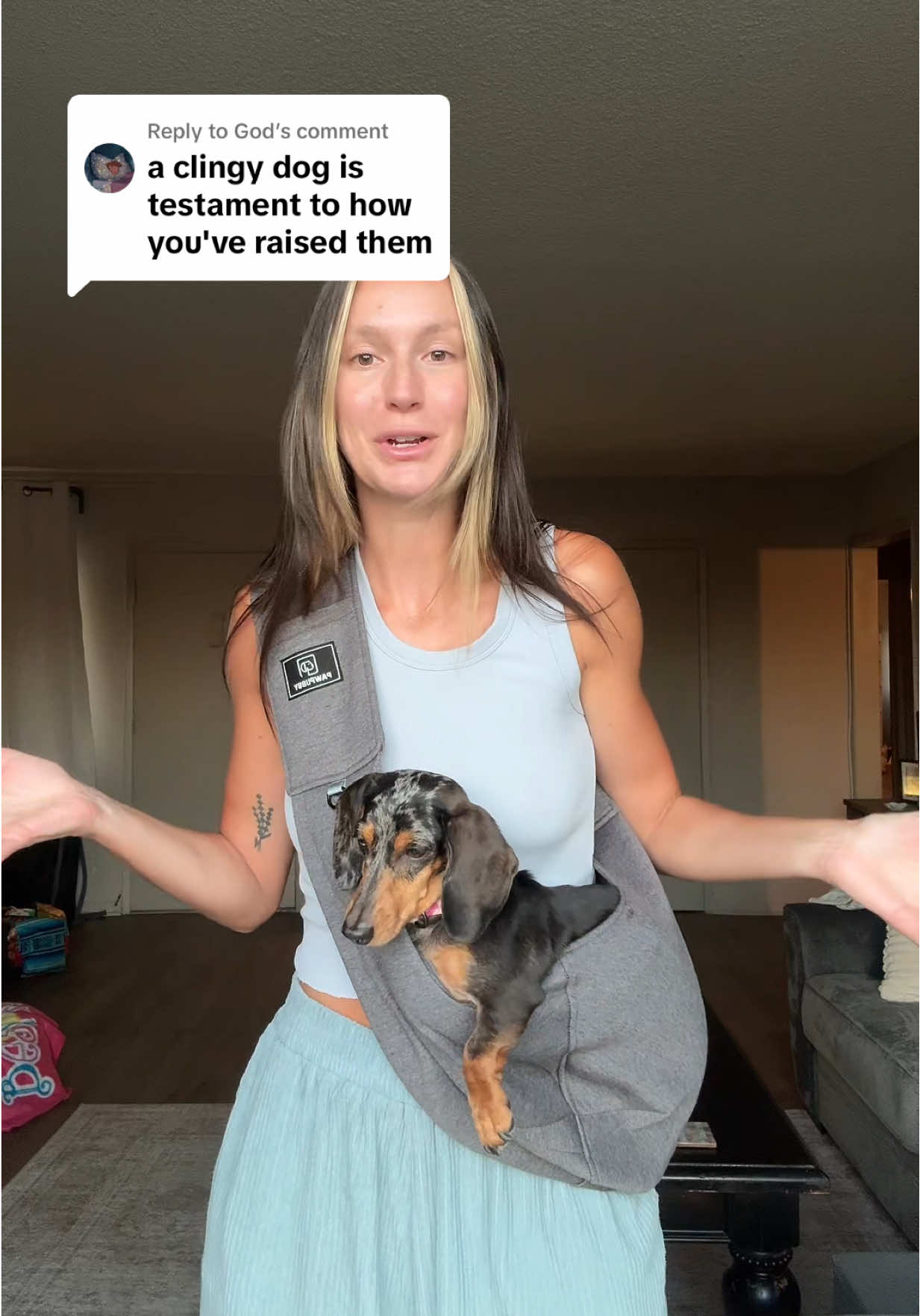 Replying to @God for the stage 5 clingers #dog #cat #dogtok #dogsling #dogcarrier 