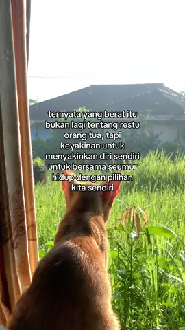 #sadvibes #xybca 