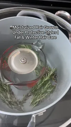 Before any protective style, I spray my hair with a DIY blend: fresh rosemary essence + aloe juice 🌿✨ It keeps my hair hydrated, nourished, and growing all season long. I also refresh every few days while in the style to lock in moisture & length 💆🏽‍♀️💧 #ProtectiveStyles #NaturalHairCare #HairGrowthTips #creatorsearchinsights 