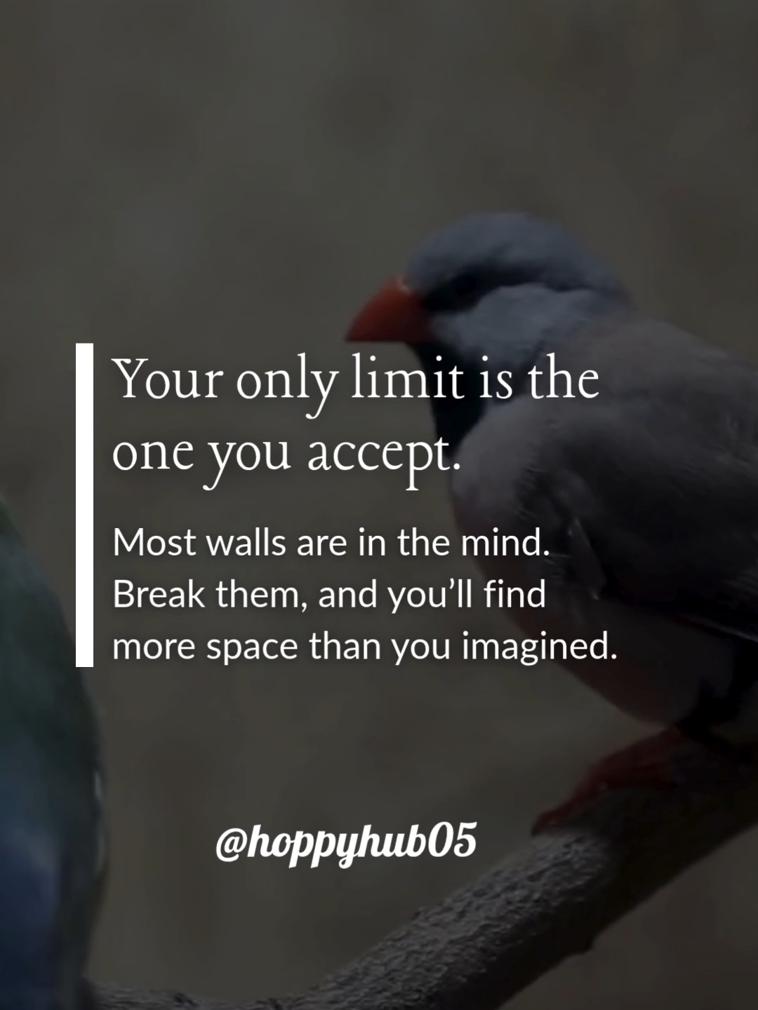 Breaking Mental Barriers for Growth and Success  #NoLimits #GrowthMindset #BreakBarriers #Motivation #SuccessJourney