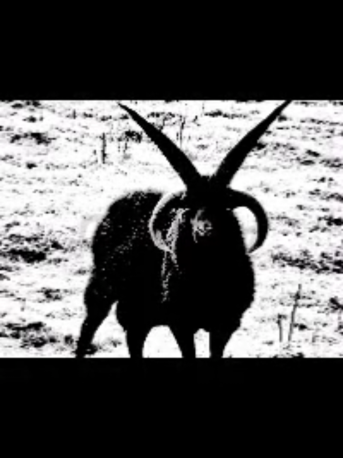 #iqmaxx #sobhatanizm #satantriad #satanpill 