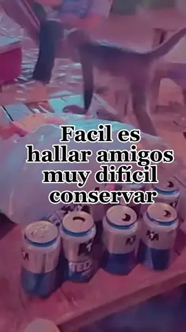 A poco no ? #paratiiiiiiiiiiiiiiiiiiiiiiiiiiiiiii #paratii #meme #CapCut #viraltiktok  