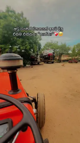 අඩුවයසින් වහනයක් අතට දිපු එක්කනා 