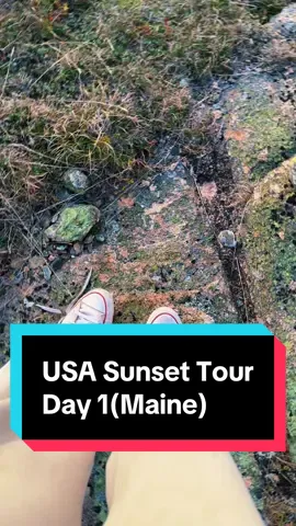 thank you Maine👋
